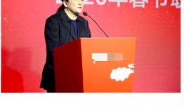 春晚总导演爆料视频,精彩瞬间背后的秘密