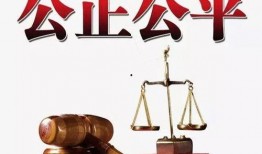 公正社会在线观看,揭秘在线观看背后的正义力量